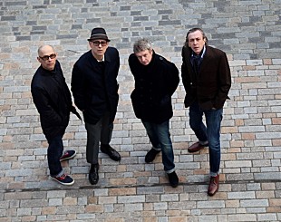 「コーデュロイ、18年ぶりの新作を引っ提げた来日公演を8月に開催」