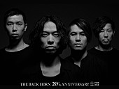 THE BACK HORN「THE BACK HORN、日本武道館公演の詳細＆ツアー追加公演を発表」1枚目/3