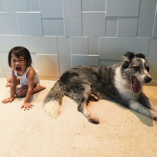 「アンド・ソー・アイ・ウォッチ・ユー・フロム・アファー（ASIWYFA）、2018年9月に来日ツアー開催」