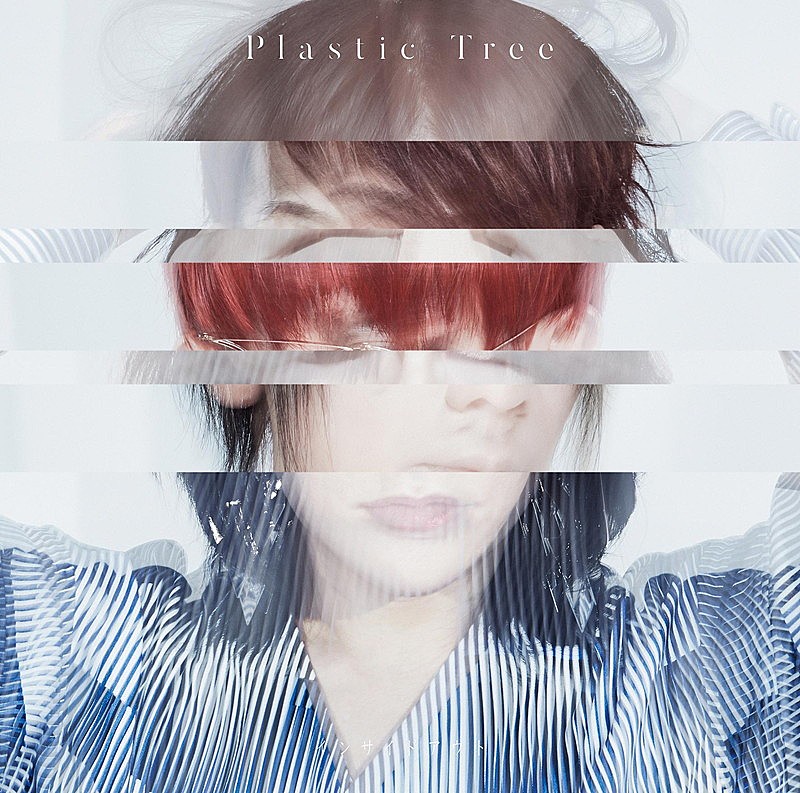 Ｐｌａｓｔｉｃ　Ｔｒｅｅ「」3枚目/5