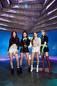 BLACKPINK「BLACKPINK、京セラドーム大阪公演＆SG『DDU-DU DDU-DU』リリース決定」1枚目/1