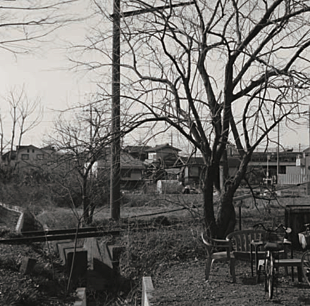 「灰野敬二+MUSQIS、リハなしぶっつけ本番の緊張感あふれるライブがCD化」