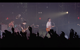 「My Hair is Bad、武道館ライブ映像作品からトレーラー動画を解禁」