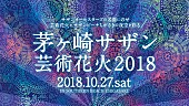 サザンオールスターズ「サザンオールスターズの名曲だけで構成される【茅ヶ崎サザン芸術花火2018】開催」1枚目/7