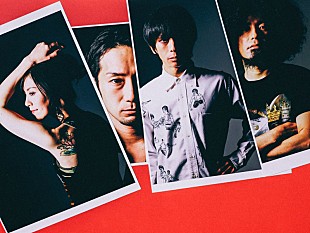 「バックドロップシンデレラ、「本気」でウンザウンザを踊ったMV完成」