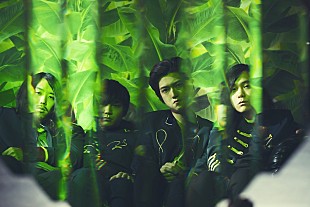 「Bird Bear Hare and Fish、1stアルバム『Moon Boots』全12曲をダイジェストで一挙公開」