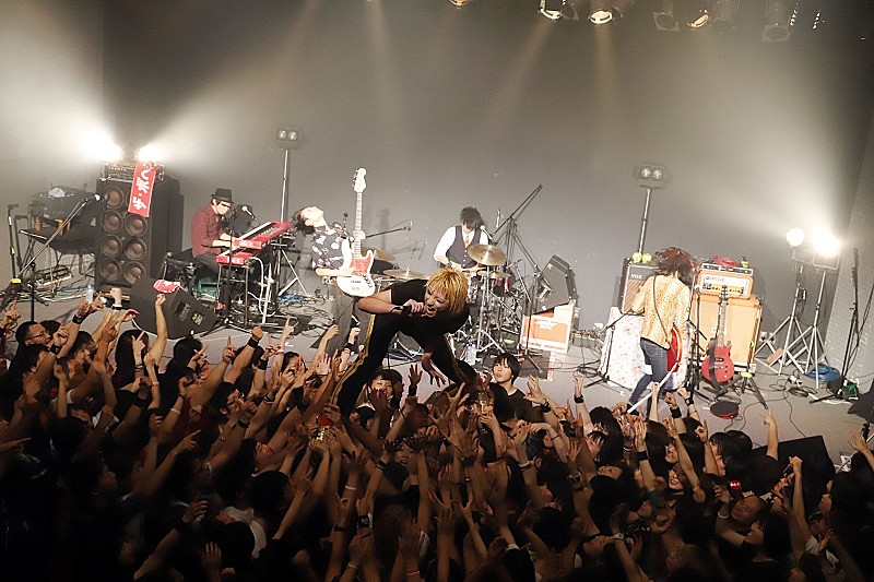 ｔｈｅ　ｐｉｌｌｏｗｓ「」3枚目/10