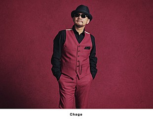 「Chageら出演【僕らのポプコンエイジ2019】開催決定　新企画“オープニングアクトを目指せ！”も」