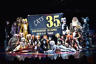 「【キャッツ】、日本上演35周年を迎え特別カーテンコールを実施」