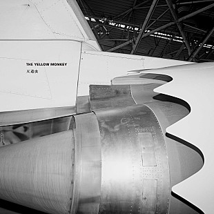 「ベテラン・ロック・バンドが生き残るには?! THE YELLOW MONKEYとGLAYの戦略【Chart insight of insight】  」