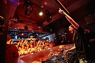 「スティーヴ・アオキ、平成最後の来日ライブが大盛況で終了」