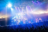 あいみょん「[ALEXANDROS]/Z-STAGE　写真：FM802」63枚目/282