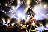 SUPER BEAVER「TOTALFAT/Z-STAGE　写真：FM802」10枚目/282