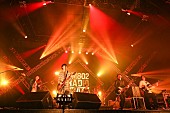 SUPER BEAVER「BIGMAMA/L-STAGE　写真：FM802」179枚目/282