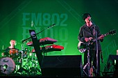 SUPER BEAVER「ストレイテナー/L-STAGE　写真：FM802」205枚目/282