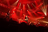 SUPER BEAVER「the pillows/R-STAGE　写真：FM802」119枚目/282