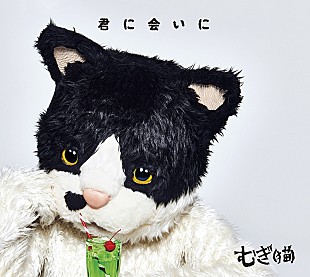 「むぎ（猫）、メジャーデビューAL『君に会いに』3月リリース＆全国ツアー決定」