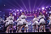 乃木坂46「」15枚目/20