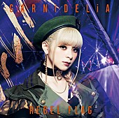 GARNiDELiA「」4枚目/5