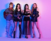 BLACKPINK「BLACKPINK、初ドームライブとリアリティ番組の映像2作品を3月同時発売」1枚目/3