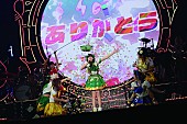 でんぱ組．ｉｎｃ「でんぱ組.inc、夢眠ねむの卒業公演を映像作品化」1枚目/6