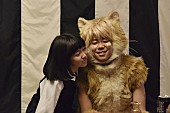 北山宏光「＜猫の日記念＞北山宏光（Kis-My-Ft2）主演の映画『トラさん』“にゃんかわ頬ずり”カット初解禁」1枚目/1