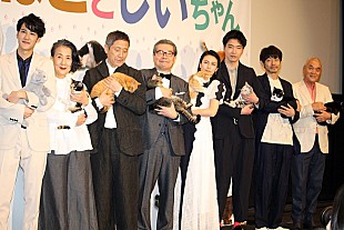 「柴咲コウ、飼い猫の“困った特技”を紹介　「それが苦労でもあり幸せ…」」