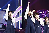 乃木坂46「」6枚目/10