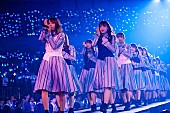 日向坂46「」11枚目/15