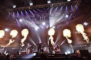 「THE BACK HORN「生きる」ことをサヴァイヴしてきた共鳴者たちとの20年「今日これからがまた俺達の出発です」」