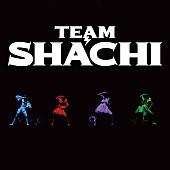 TEAM SHACHI「TEAM SHACHI、ワンマンライブ“全速前進 聖なる本編”収めたアルバム配信リリース」1枚目/1