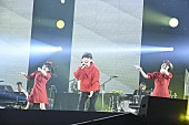 星野源「PHOTO：岸田哲平」2枚目/9