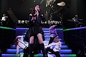 乃木坂46「」10枚目/13