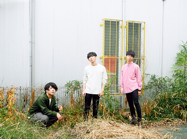 「the shes gone 初の東名阪ツアー全公演SOLD OUTを受け、東名阪追加公演決定」1枚目/1