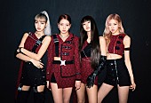 BLACKPINK「BLACKPINK、日本国内3大ドーム・ツアーが決定」1枚目/1