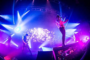 「DIR EN GREY、ライブ映像集のアートワーク解禁＆追加収録内容発表」