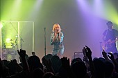 カーリー・レイ・ジェプセン「カーリー・レイ・ジェプセン、LINE LIVEリスナーを招いたスぺシャルライブを開催」1枚目/6