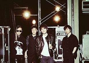 「スピッツ、タワレコスタッフによる応援特設ページがオープン」