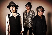 ＴＨＥ　ＧＲＯＯＶＥＲＳ「THE GROOVERS、4年ぶりニュー・アルバム『RAMBLE』9月リリース」1枚目/2