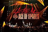 ＡＣＥ　ＯＦ　ＳＰＡＤＥＳ「」3枚目/3