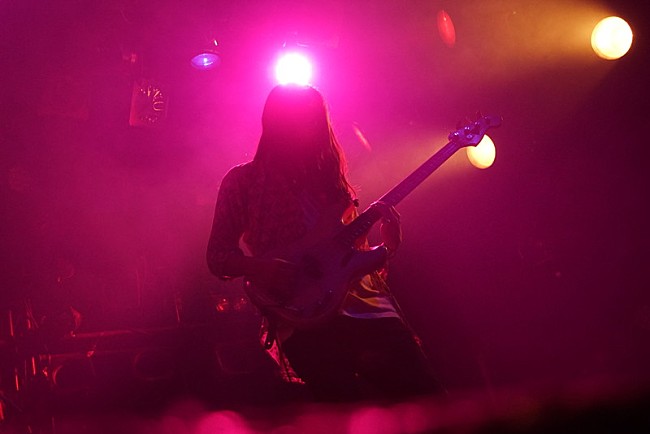 「The fin.」5枚目/19