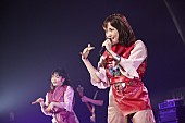 大原櫻子「」5枚目/9