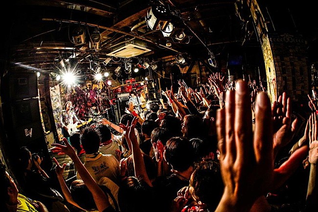 「ウルフルズ」9枚目/11