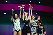 BLACKPINK「BLACKPINK、米レコード協会によって「DDU-DU DDU-DU」がゴールド認定　K-POPガールズ・グループとして初の快挙」1枚目/1