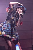 マジカル・パンチライン「撮影：石津大助」6枚目/9