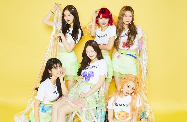 ＭＯＭＯＬＡＮＤ「」3枚目/3