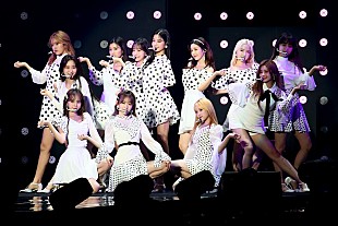 「【TGC】IZ*ONE、TGCのステージにて圧倒的な人気と存在感で約3万人を熱狂」