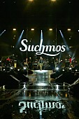 Ｓｕｃｈｍｏｓ「」19枚目/21