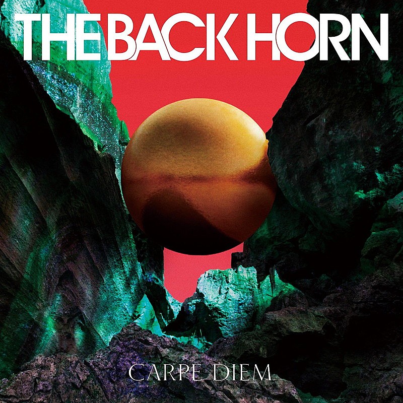 ＴＨＥ　ＢＡＣＫ　ＨＯＲＮ「」4枚目/5