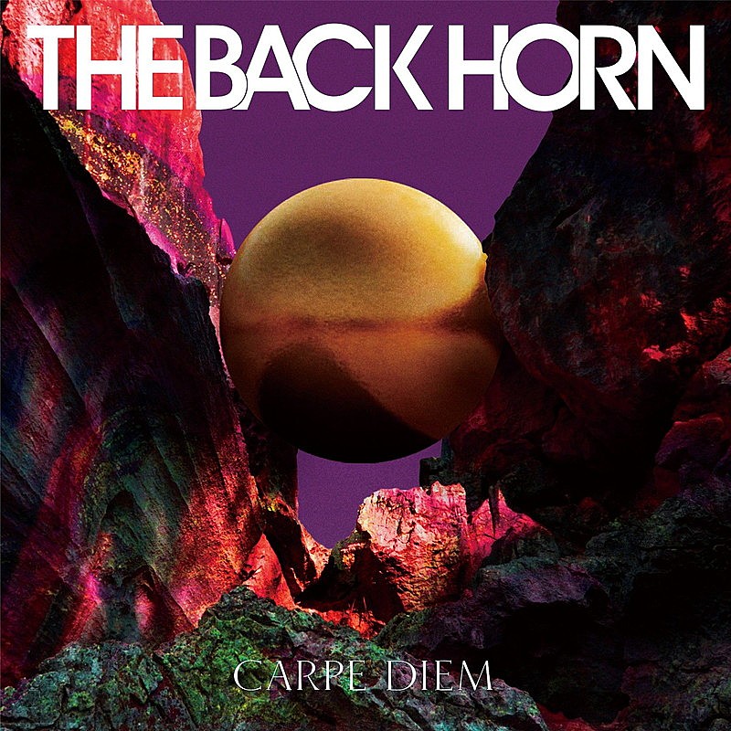 ＴＨＥ　ＢＡＣＫ　ＨＯＲＮ「」5枚目/5